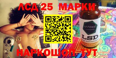 мяу мяу мука Гатчина