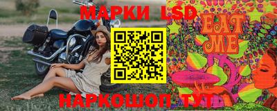 мяу мяу мука Гатчина
