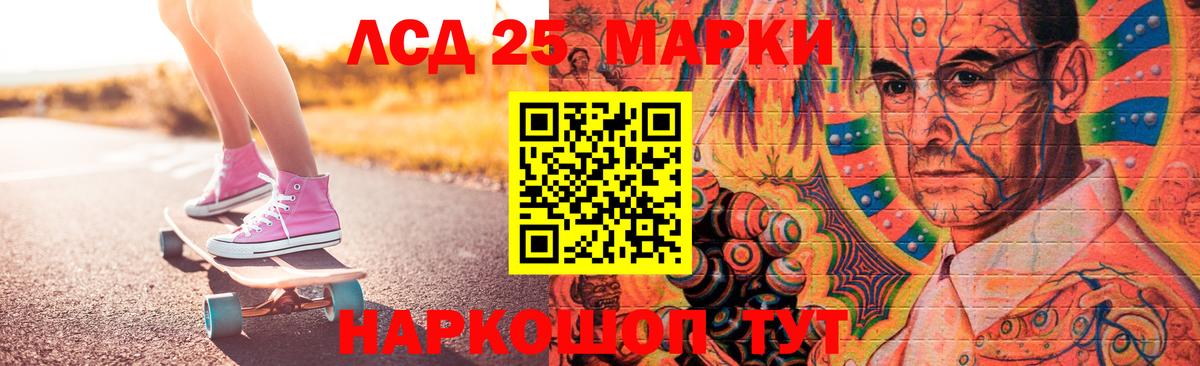 ОМГ ОМГ ссылки  LSD-25 экстази кислота  Вход с VPN  Бердск 