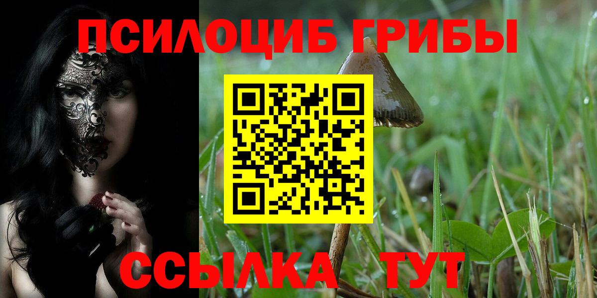 Псилоцибиновые грибы Magic Shrooms  Вход с VPN  Бердск 
